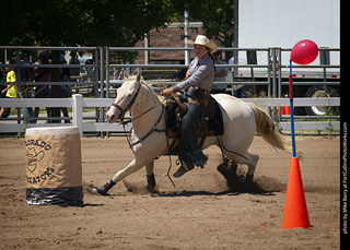 Regulators at the Larimer County Fair 2024