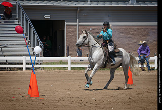 Regulators at the Larimer County Fair 2024