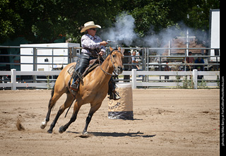 Regulators at the Larimer County Fair 2024