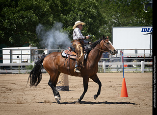 Regulators at the Larimer County Fair 2024