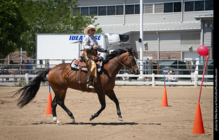 Regulators at the Larimer County Fair 2024