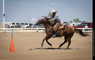 Regulators at the Larimer County Fair 2024