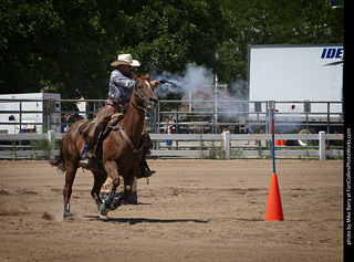 Regulators at the Larimer County Fair 2024