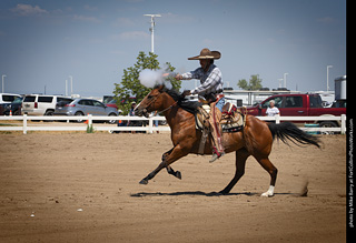 Regulators at the Larimer County Fair 2024