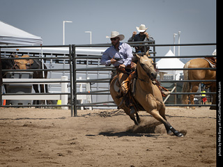 Regulators at the Larimer County Fair 2024