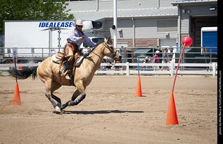 Regulators at the Larimer County Fair 2024