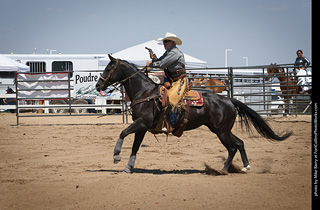 Regulators at the Larimer County Fair 2024