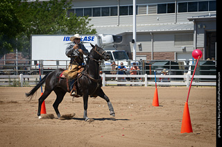 Regulators at the Larimer County Fair 2024