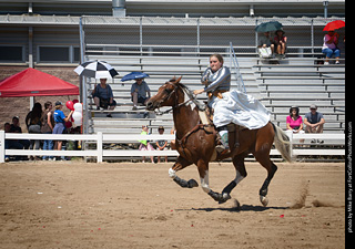 Regulators at the Larimer County Fair 2024