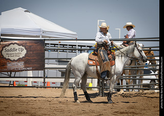 Regulators at the Larimer County Fair 2024