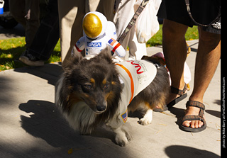 2024 Tour de Corgi - tour