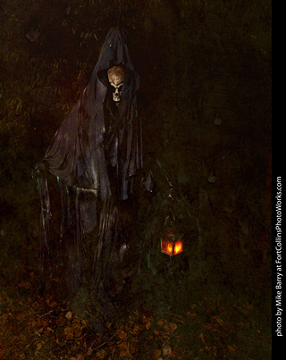 Creepy Walk in the Woods - 2024