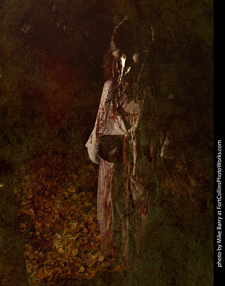 Creepy Walk in the Woods - 2024