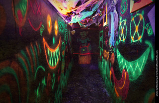 Creepy Walk in the Woods - 2024