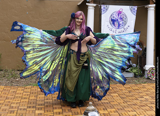 Belly Dancers at CMF 2025