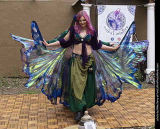 Belly Dancers at CMF 2025