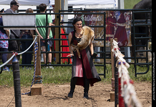 Knights of Mayhem at CMF 2025