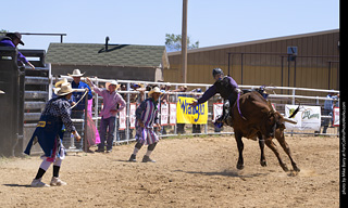 Never Summer Rodeo 2025