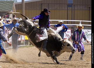 Never Summer Rodeo 2025