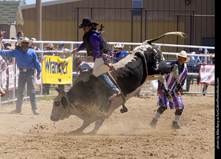 Never Summer Rodeo 2025