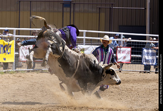 Never Summer Rodeo 2025