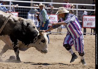 Never Summer Rodeo 2025