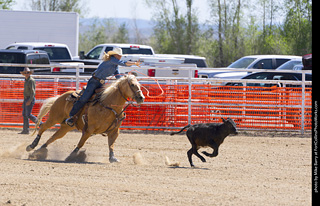 Never Summer Rodeo 2025