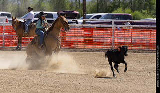 Never Summer Rodeo 2025