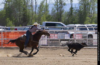 Never Summer Rodeo 2025