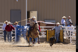 Never Summer Rodeo 2025
