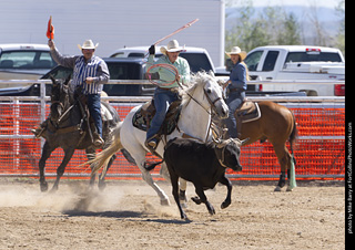 Never Summer Rodeo 2025