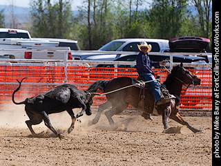 Never Summer Rodeo 2025 #7