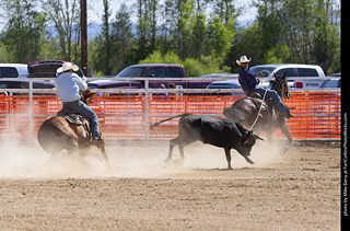 Never Summer Rodeo 2025