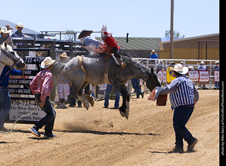 Never Summer Rodeo 2025