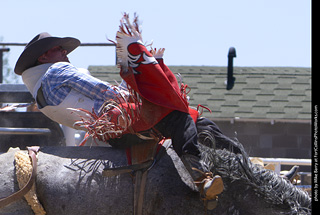 Never Summer Rodeo 2025