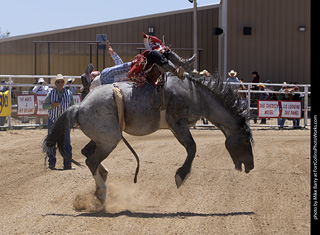 Never Summer Rodeo 2025