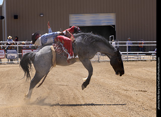 Never Summer Rodeo 2025