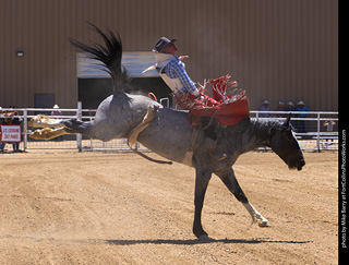 Never Summer Rodeo 2025
