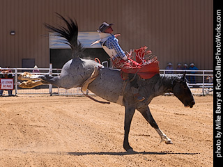 Never Summer Rodeo 2025