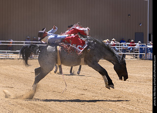 Never Summer Rodeo 2025