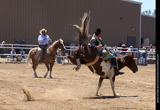 Never Summer Rodeo 2025