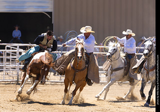 Never Summer Rodeo 2025