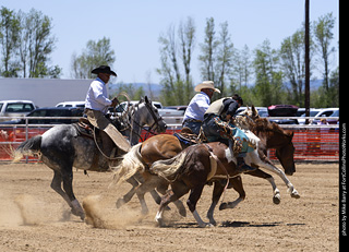 Never Summer Rodeo 2025