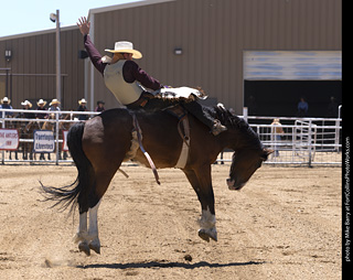 Never Summer Rodeo 2025