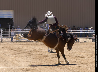 Never Summer Rodeo 2025