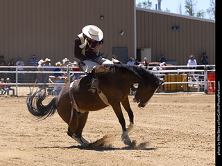 Never Summer Rodeo 2025