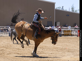 Never Summer Rodeo 2025
