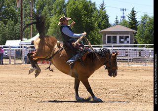 Never Summer Rodeo 2025