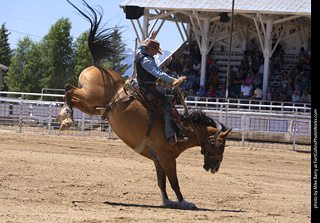 Never Summer Rodeo 2025