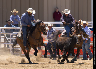 Never Summer Rodeo 2025